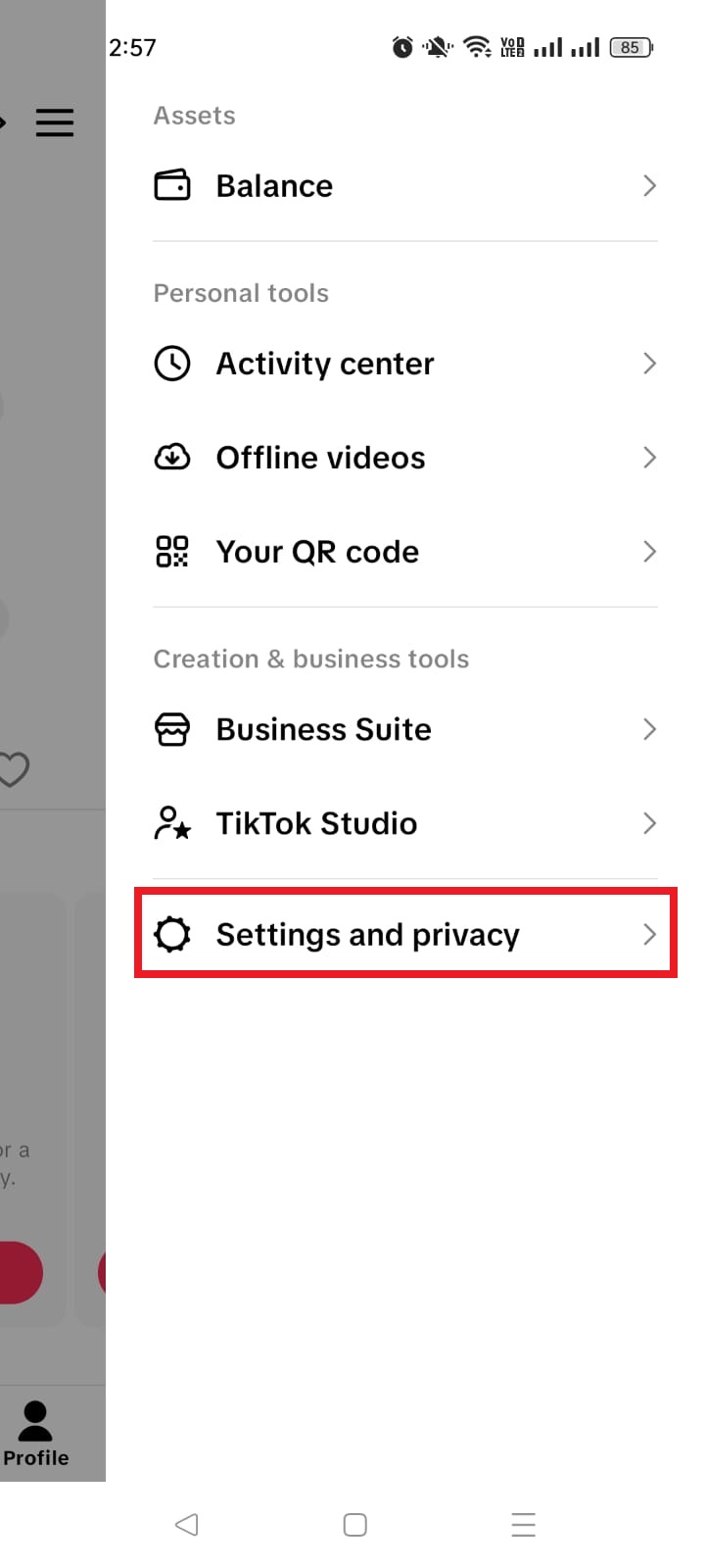 Settings and privacy option on TikTok app