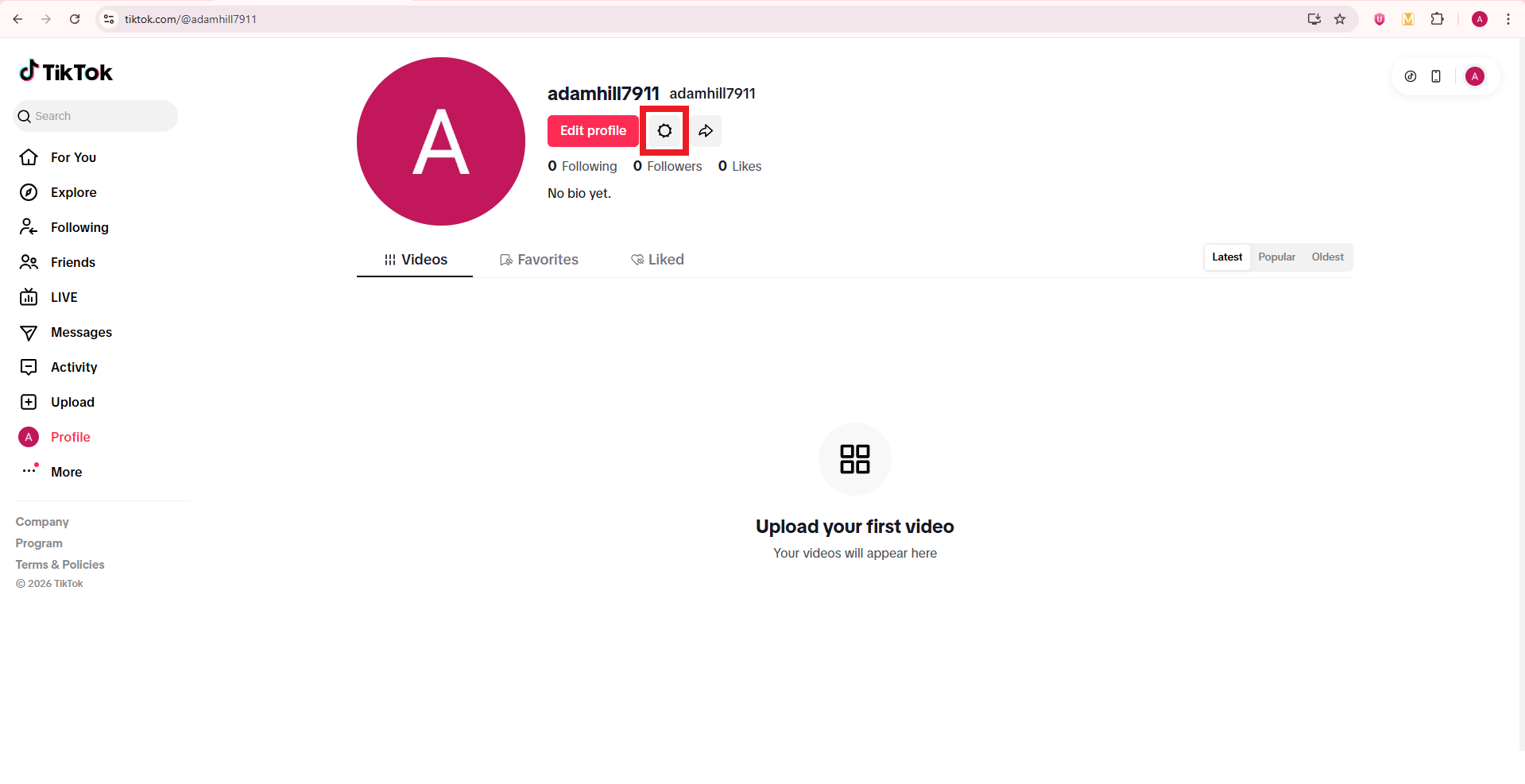 Settings icon on TikTok web app