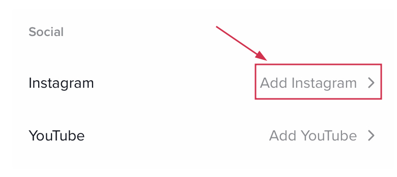 Add Instagram option inside the TikTok app