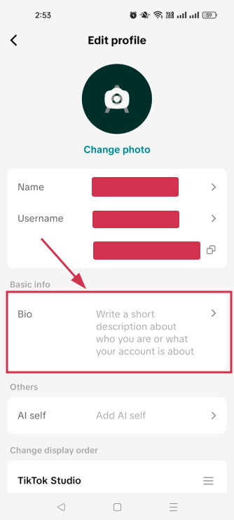 Bio section inside the TikTok app