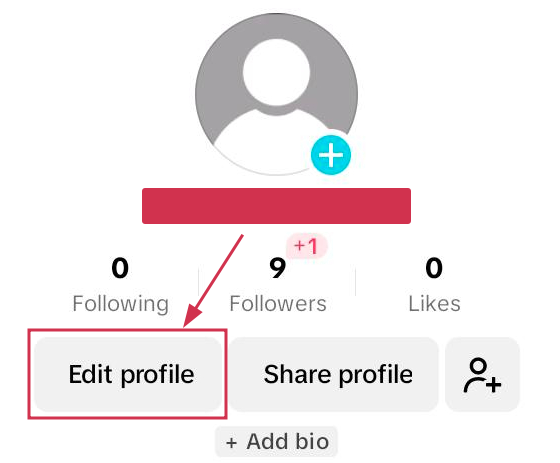 Edit profile button inside the TikTok app