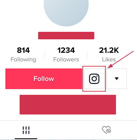 Instagram icon beneath TikTok bio