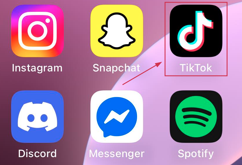 Open the TikTok app