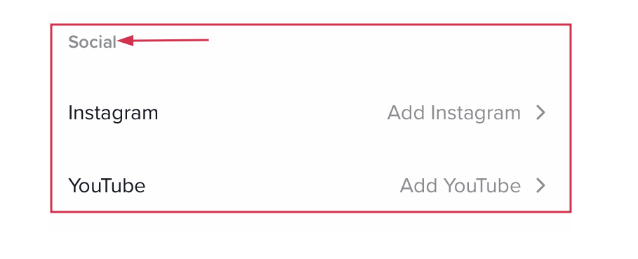 Social section inside the TikTok app