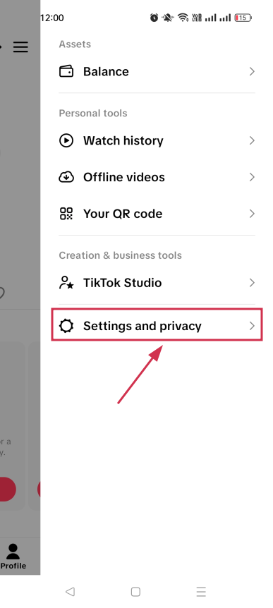 Settings and privacy option inside TikTok mobile app