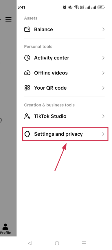 Settings and privacy option inside the TikTok mobile app
