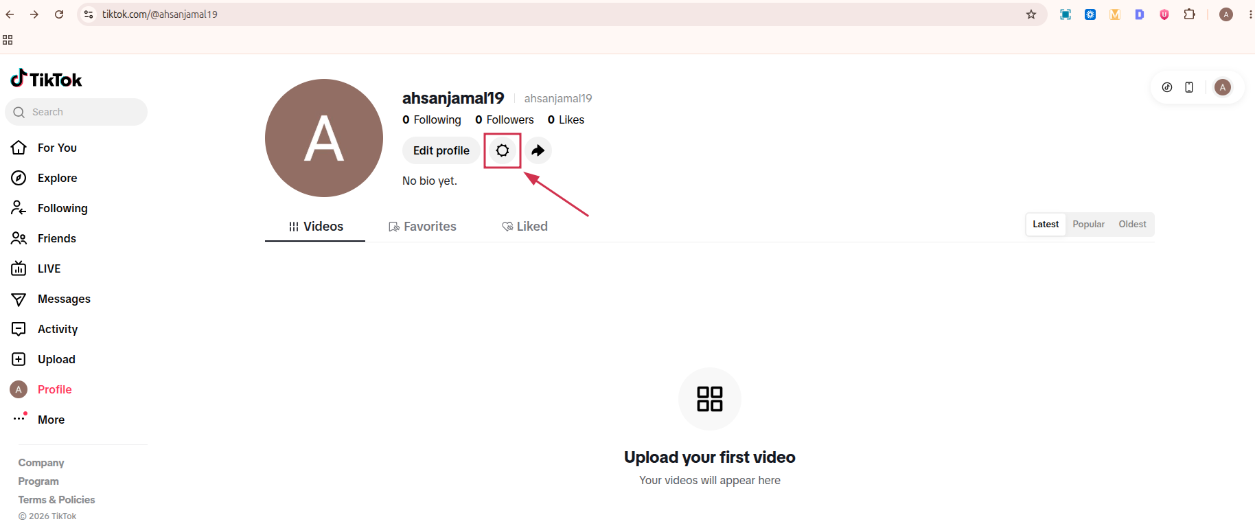 Settings icon inside TikTok web app