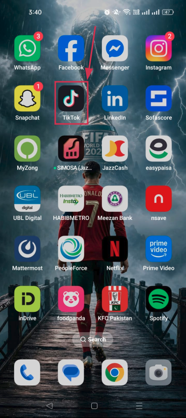 TikTok app on smartphone