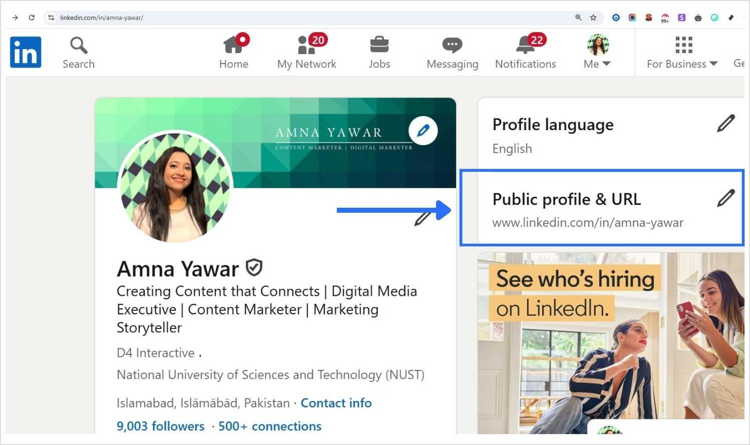 Select your LinkedIn URL - replug.io 