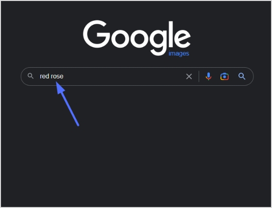 type image name