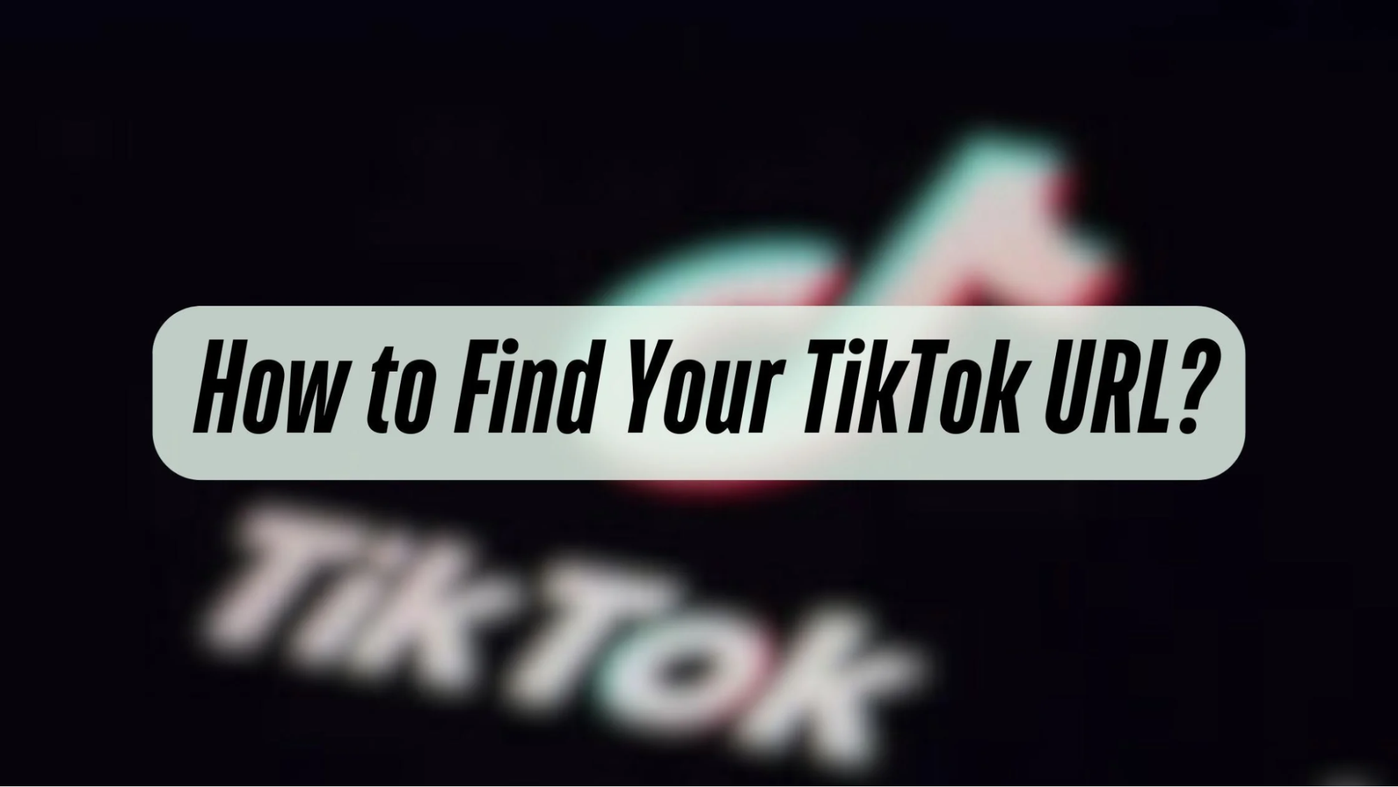 Get your TikTok URL