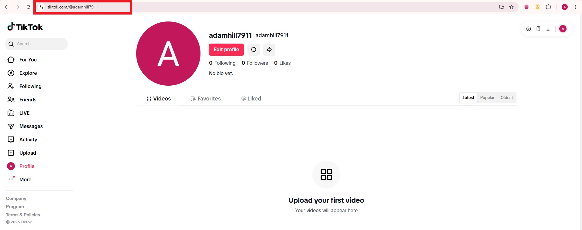TikTok profile URL on web
