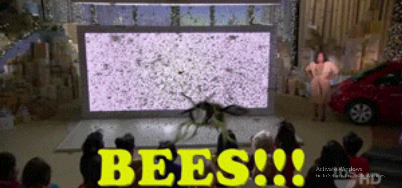 BEES BEES BEES BEES