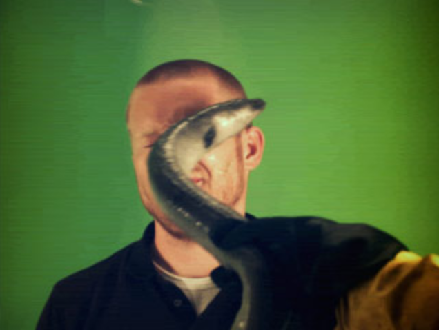 Eel slap!