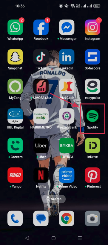 Open the Spotify app on phone