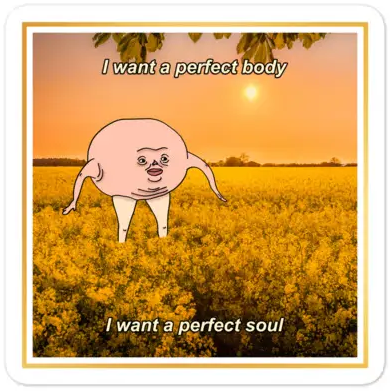 “I want a perfect body” (sunset)