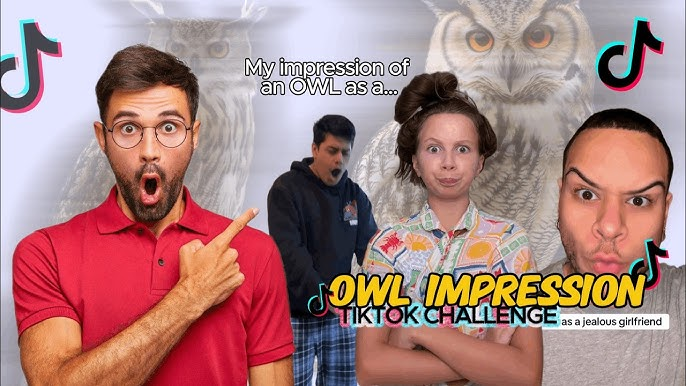 Owl impressions (international)