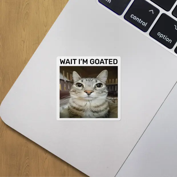 “Wait I'm goated” cat