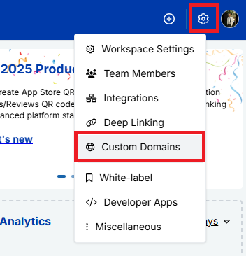 Custom domains option - Replug