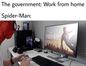 spirderman work from home
