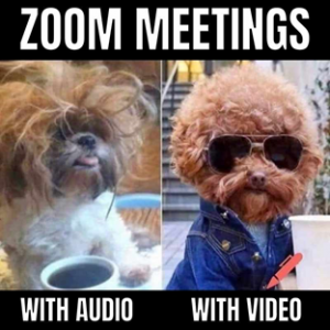 zoom-meetings