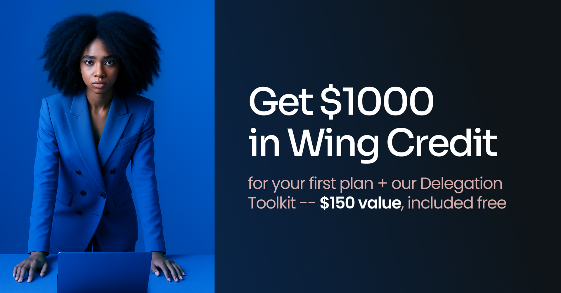 Wing Assistant Black Friday Sale 2025