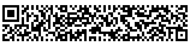 Rectangular Micro QR (rMQR)