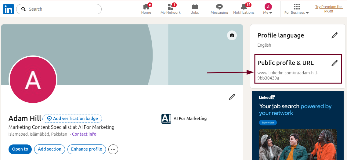 Public profile & URL option on the LinkedIn web app